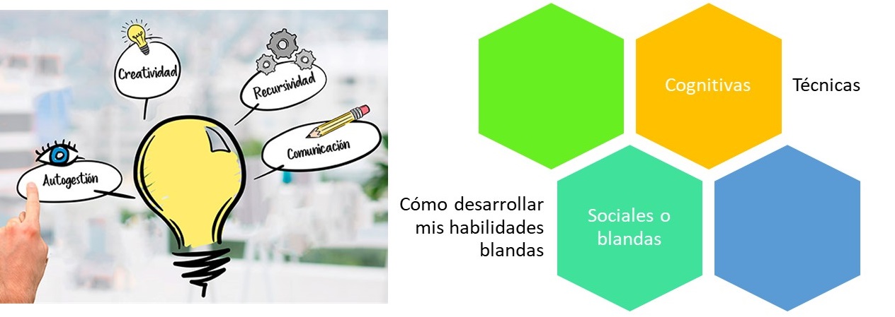 contenido